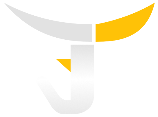 Torus Link Logo